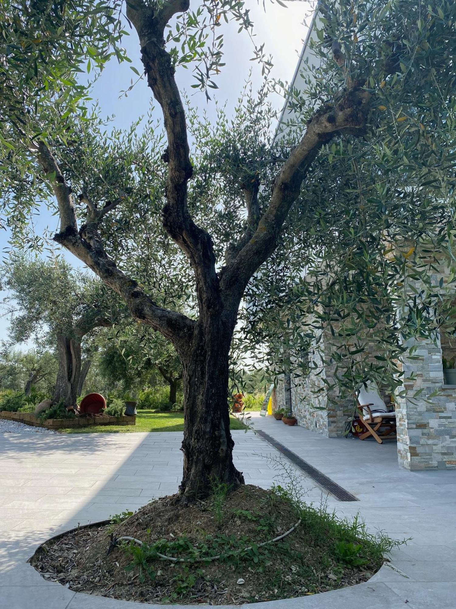 Bellante B&B La Villetta מראה חיצוני תמונה